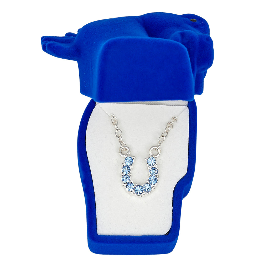 Blue Horse Shoe Necklace in Gift Box