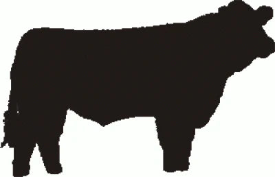 Simmental