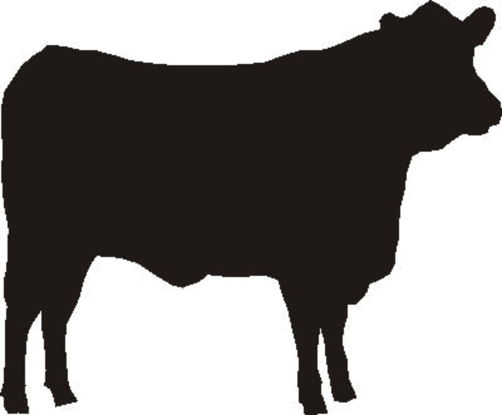Cow Letter Rack Angus Letter Rack – Exclusively Equine
