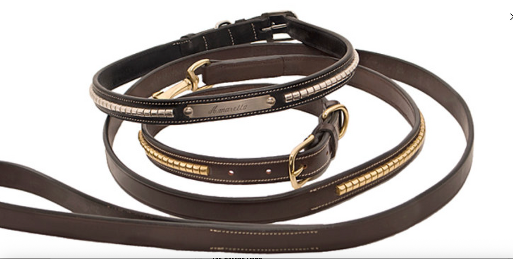 Brass Clincher Dog Collar & Lead Set