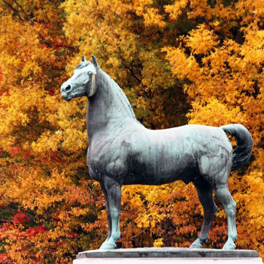 Bronze Horse Statue