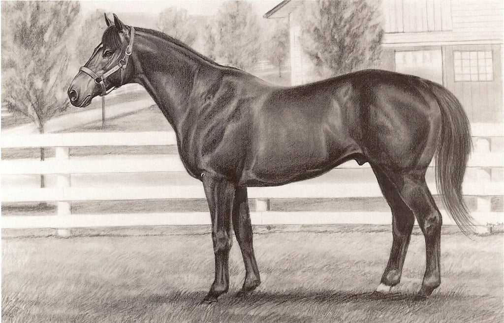 Distinctive Pro Card