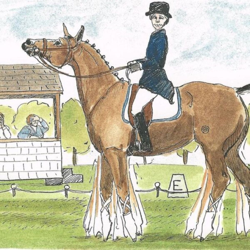 Dressage Fun Card