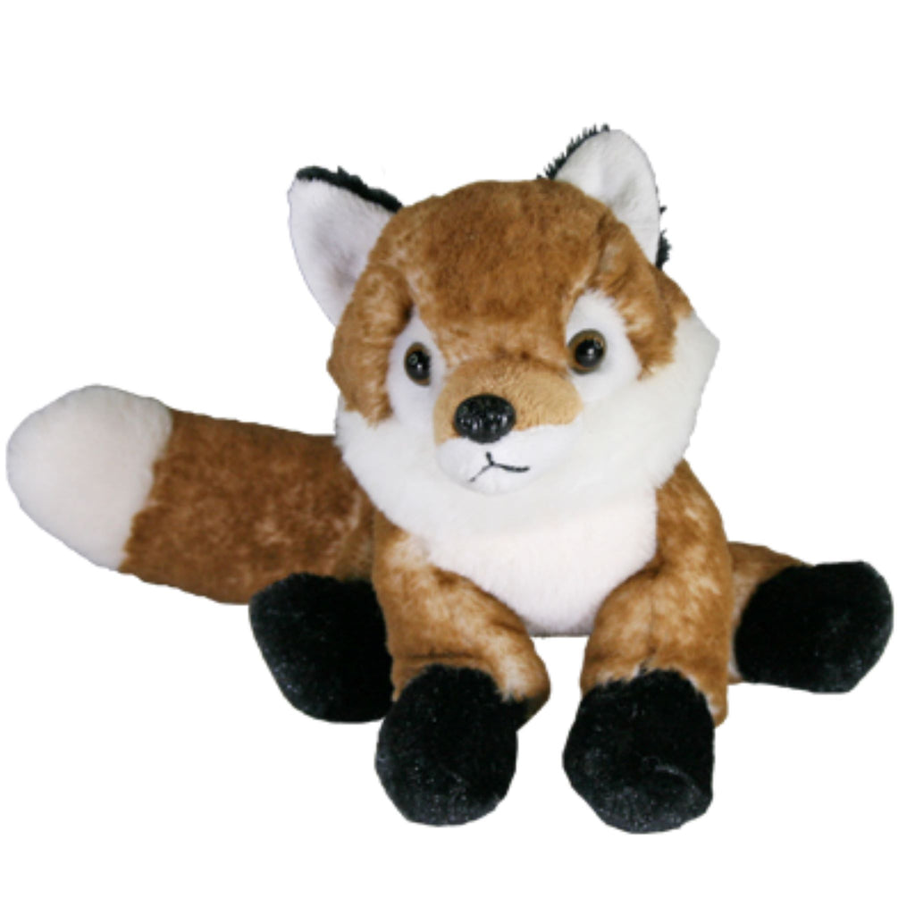 Fergus Fox