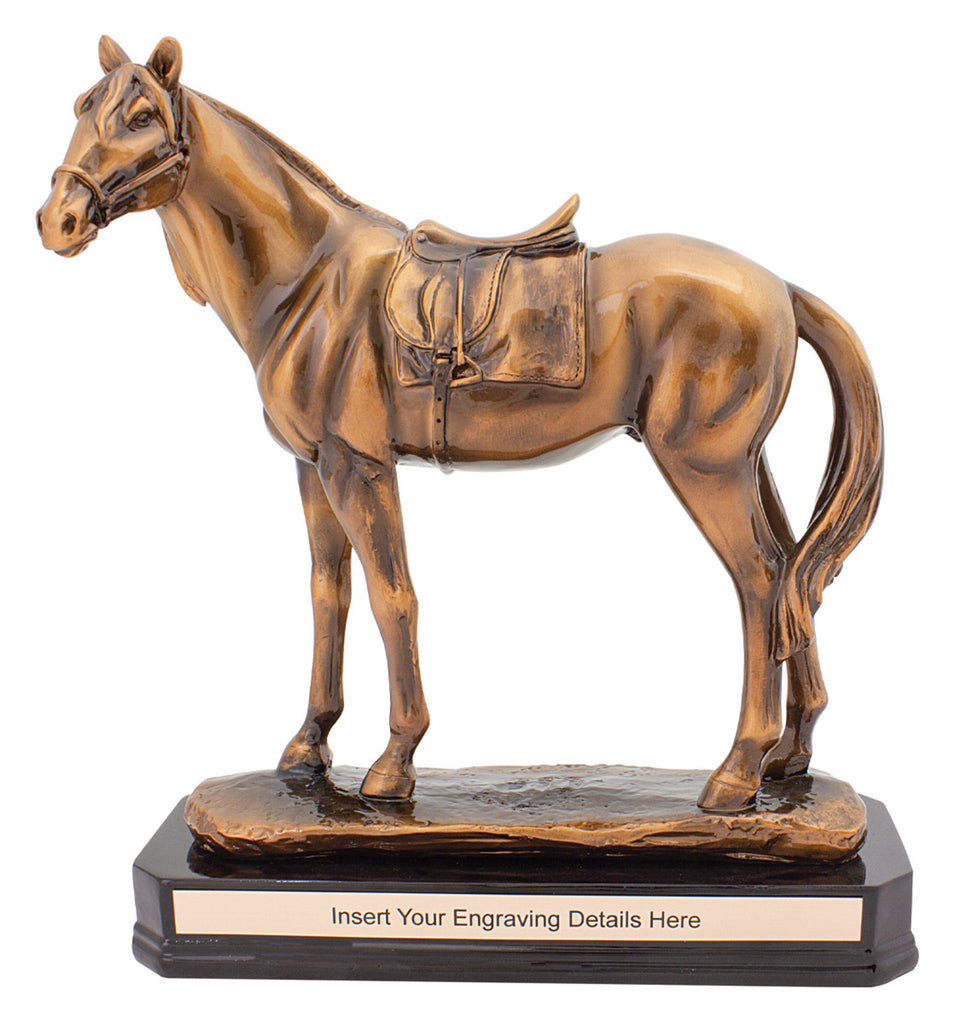 Horse Bronze Track Champion