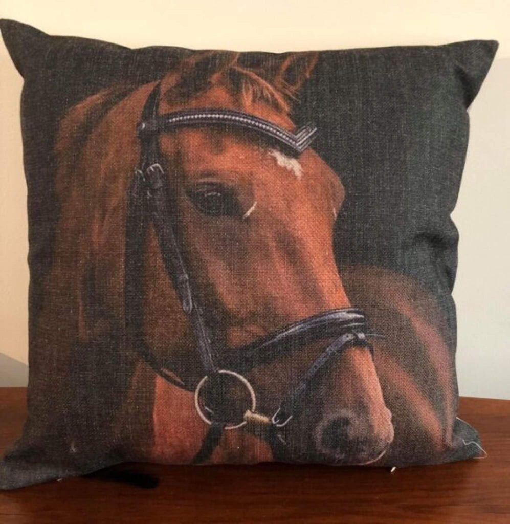 Eventer Cushion