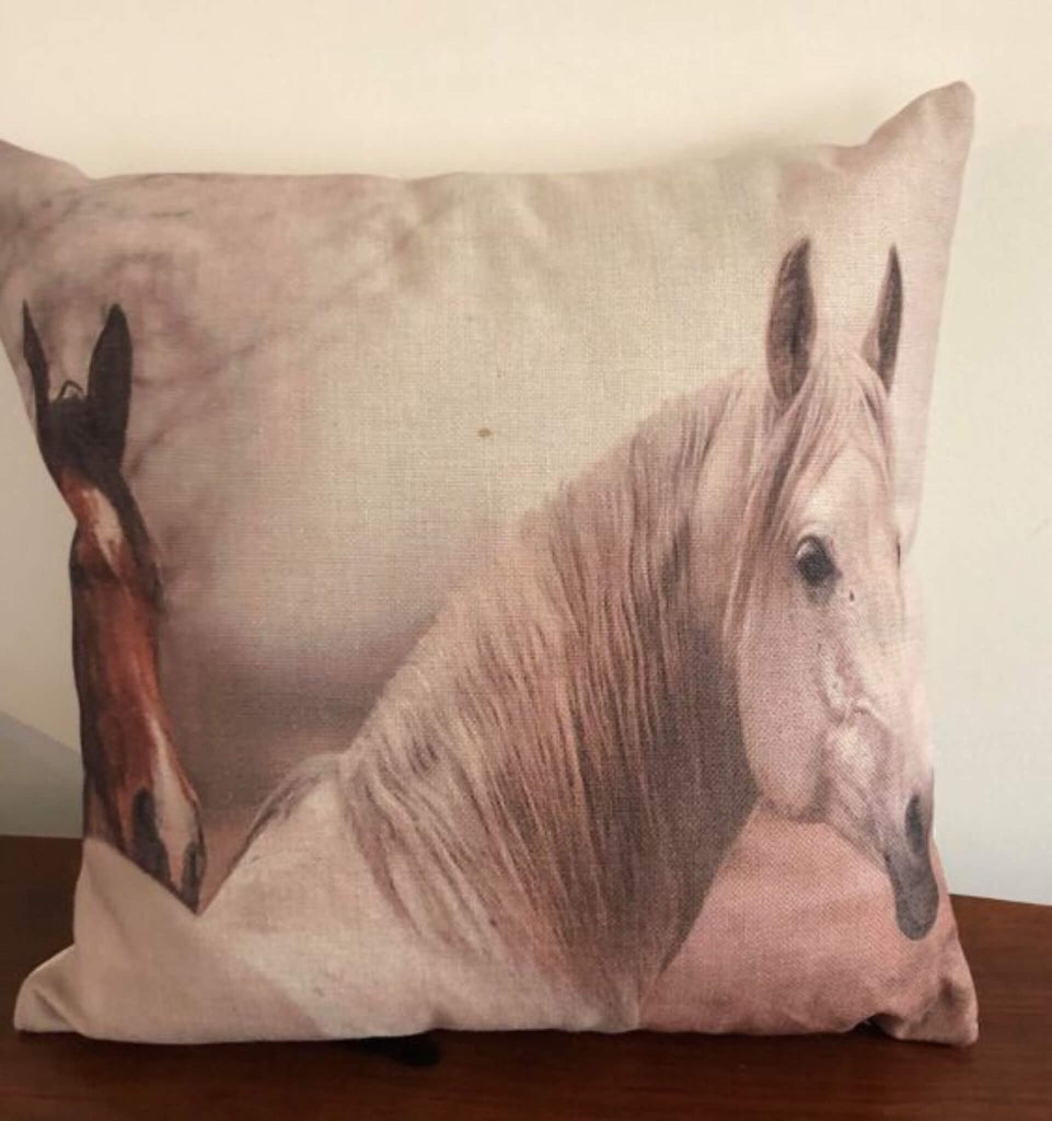 Two Friends Cushion