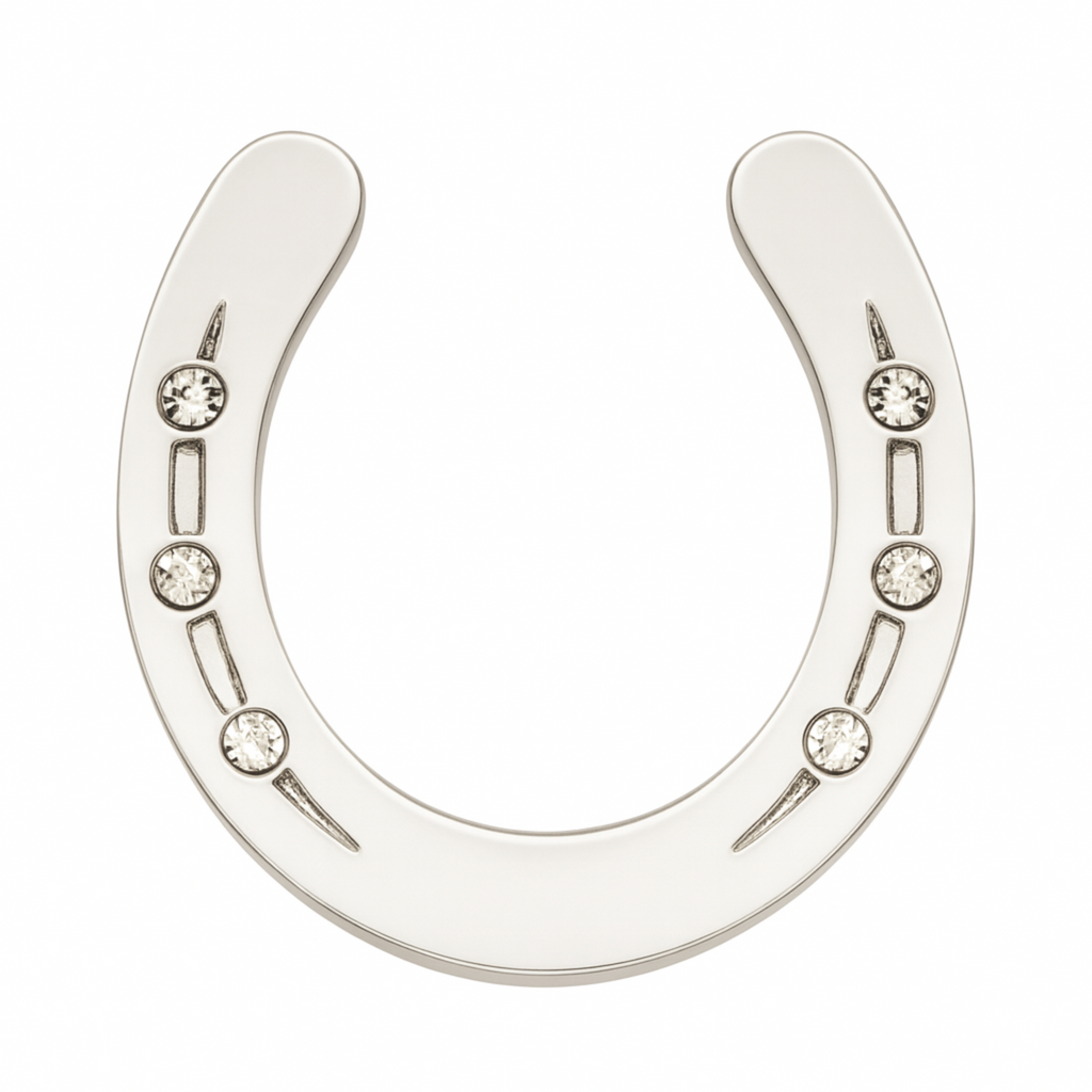 Silver Horse Shoe Brooch