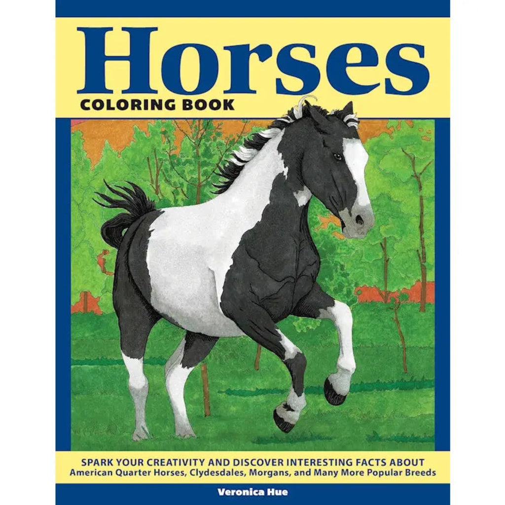 Horses Colouring Book