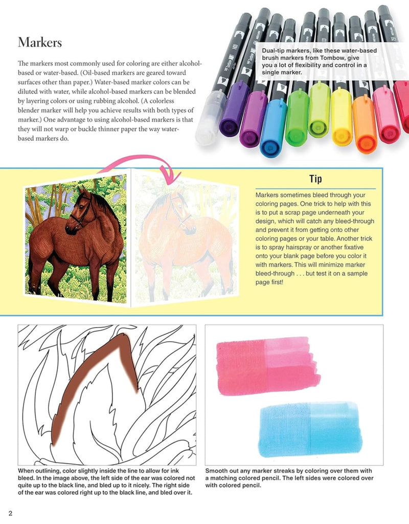 Horses Colouring Book