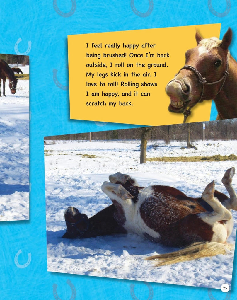 If Animals Could Talk Learning Book