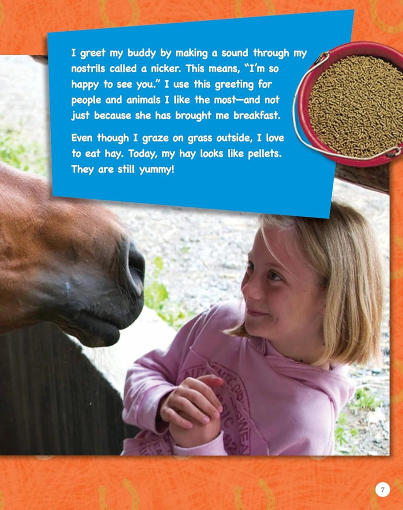 If Animals Could Talk Learning Book