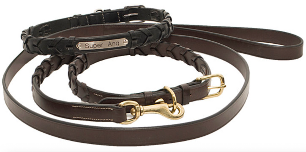 Laced Rein Dog Collar & Lead Set