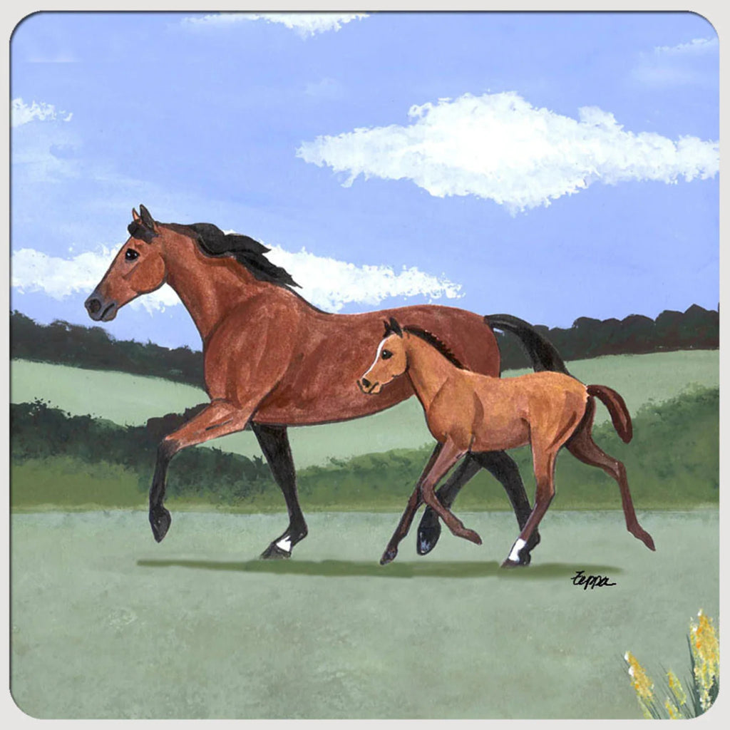 Mare & Foal Coasters