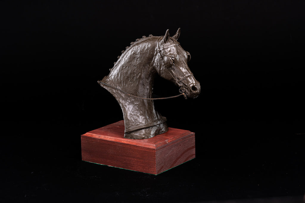 Mary Pinsent - Driving Horse Head