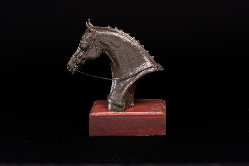 Mary Pinsent - Driving Horse Head