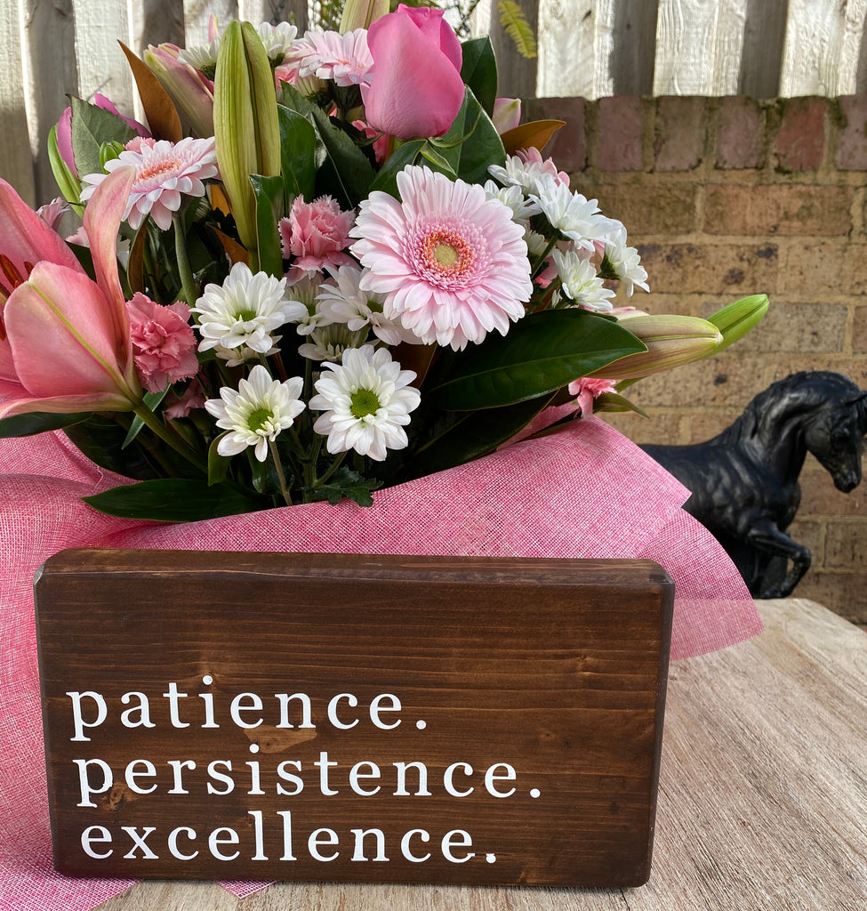 Patience, Persistence, Excellence  Shelf Sitter