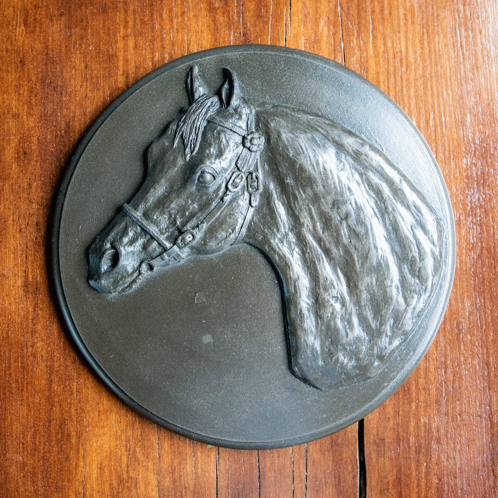 Riding Pony Head Relief