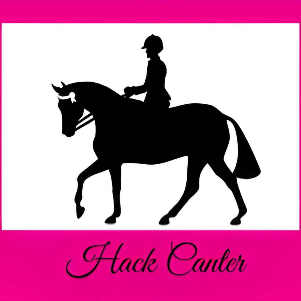 Show Hack Cantering 3 Boot Rack