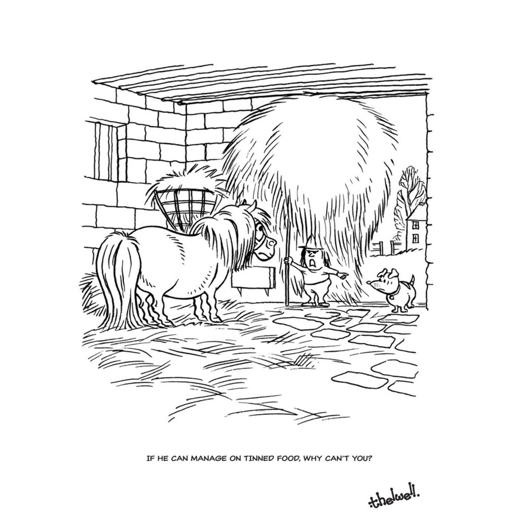 Thelwell's Coloring book