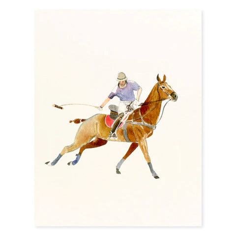 Polo Swing - Box Of Occasion Cards
