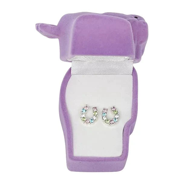 Rainbow Horse Shoe Earrings in Gift Box