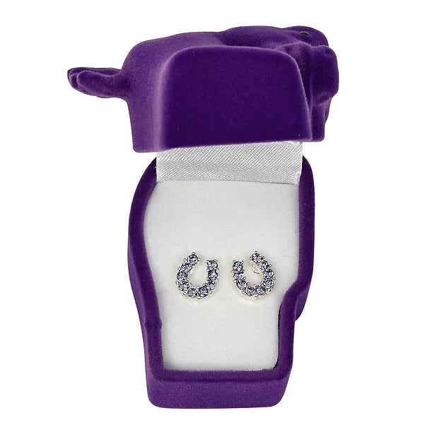 Purple Horse Shoe Earrings in Gift Box
