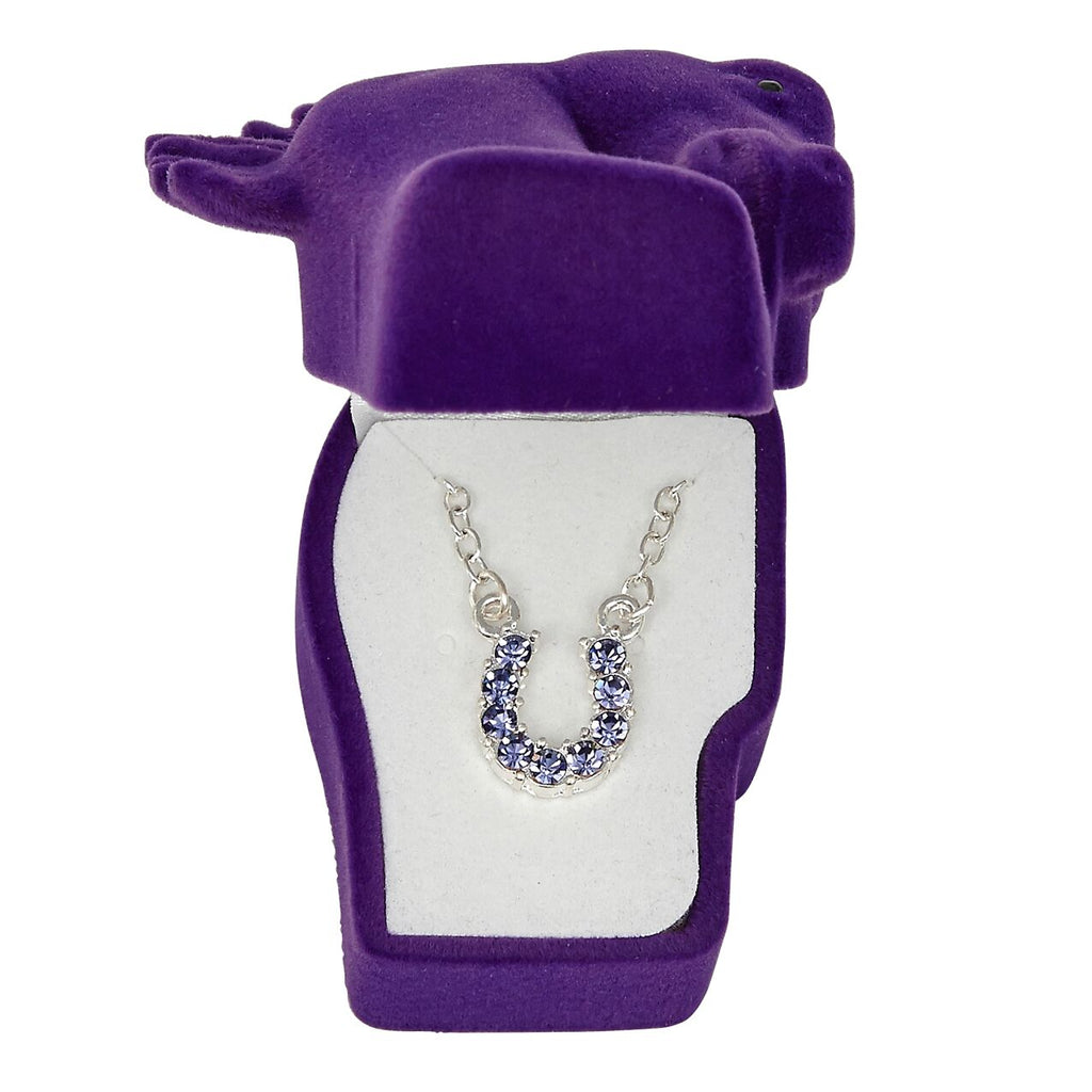 Purple Horse Shoe Necklace in Gift Box