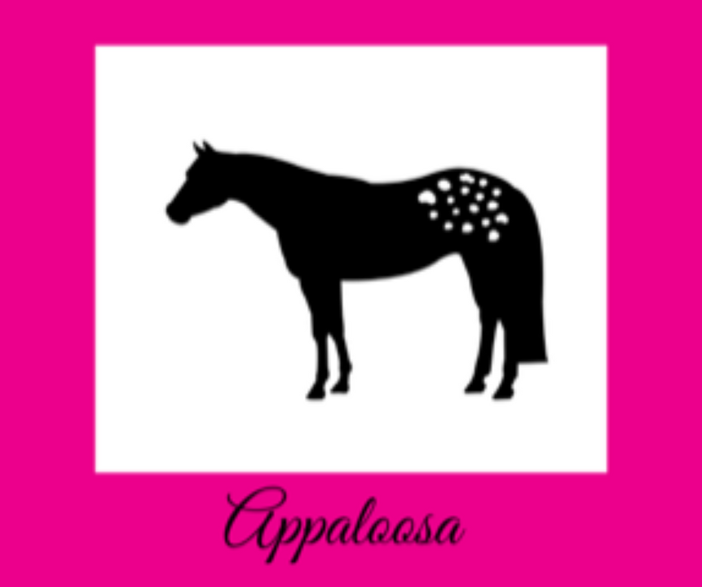 Appaloosa Equine Cottage Weathervane