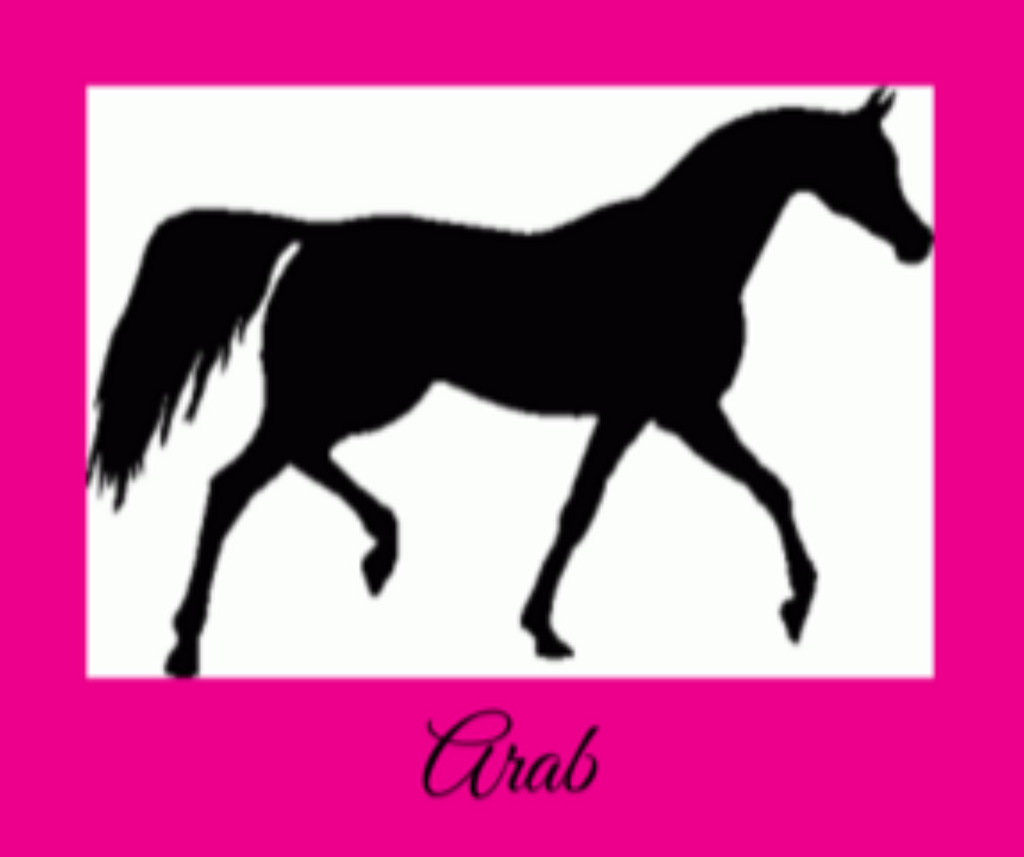 Arab Equine Cottage Weathervane