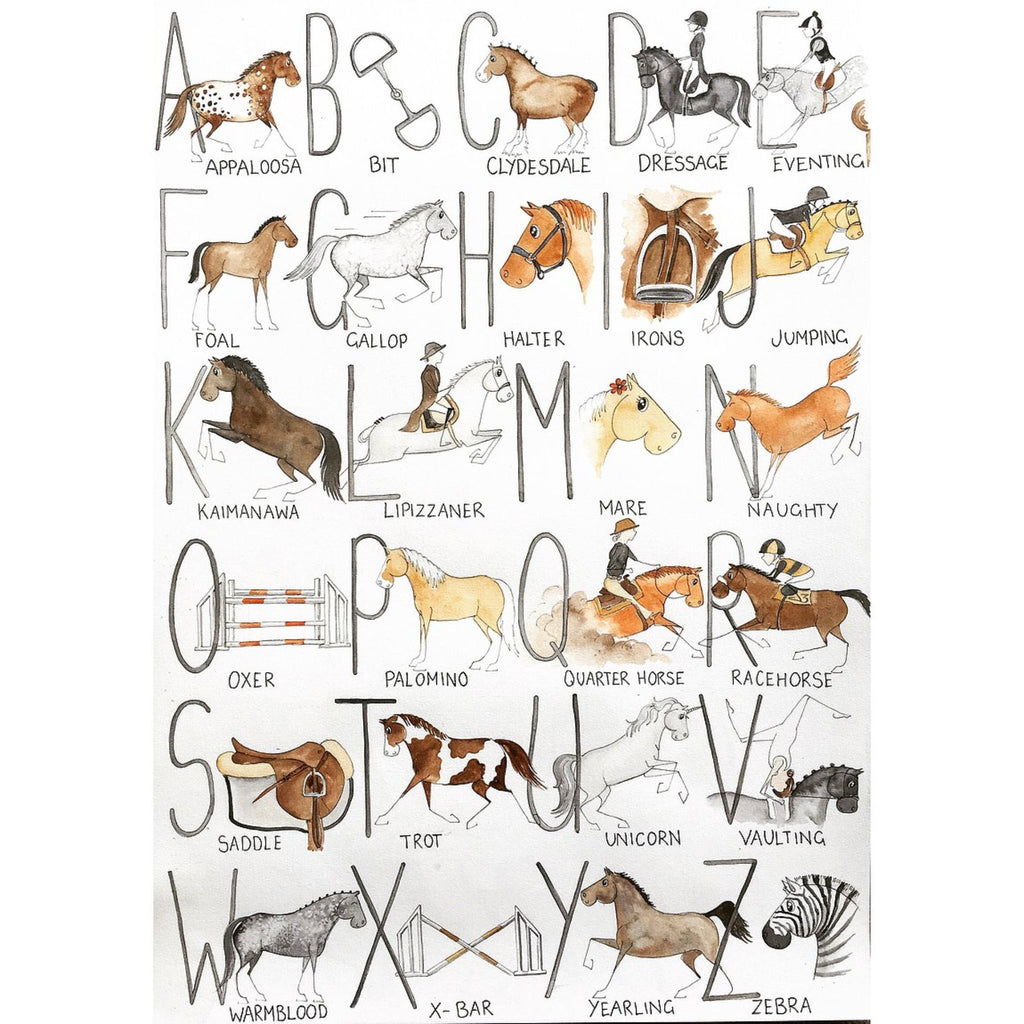 Art Of Michelle Clarke - Equestrian A,B,C,