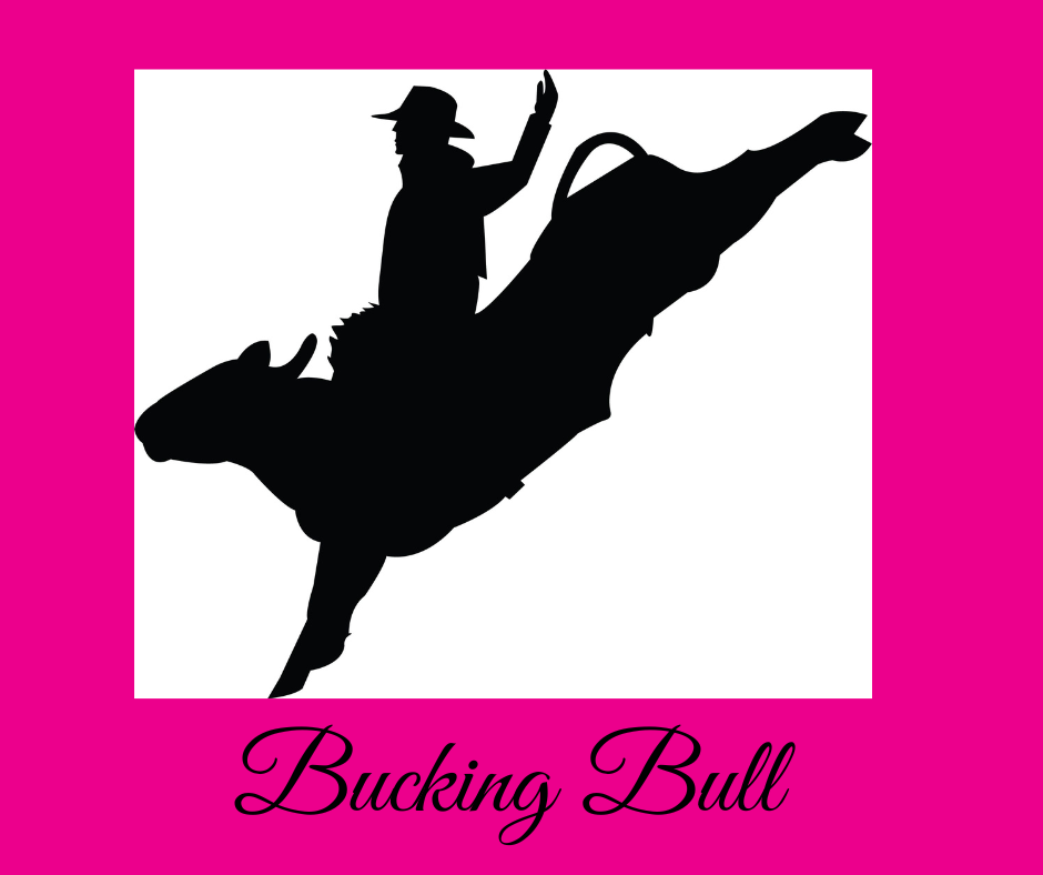 Bucking Bull Hangover Door Rack