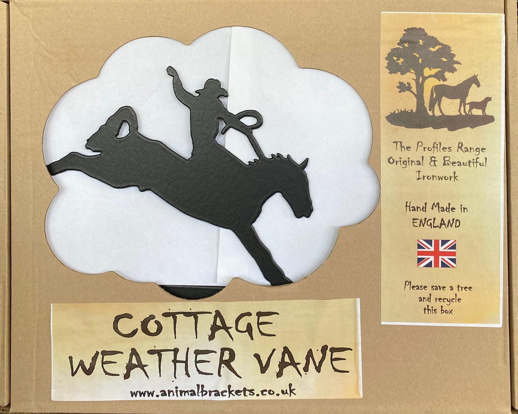 Bucking Horse Equine Cottage Weathervane