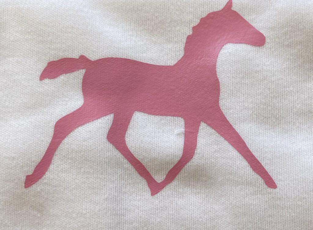 Colt or Filly Baby Onesie