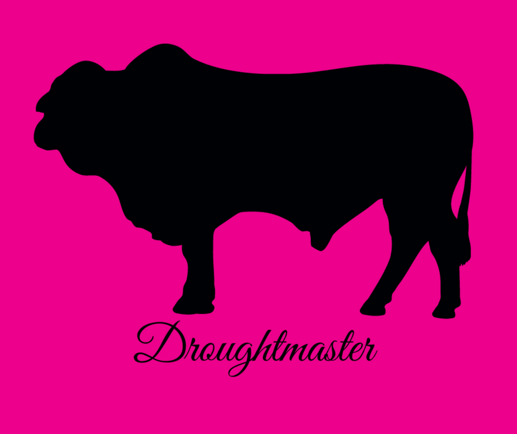 Droughtmaster Weathervane