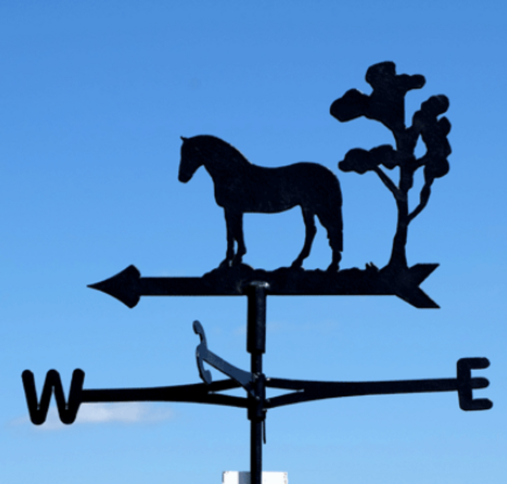 Droughtmaster Weathervane