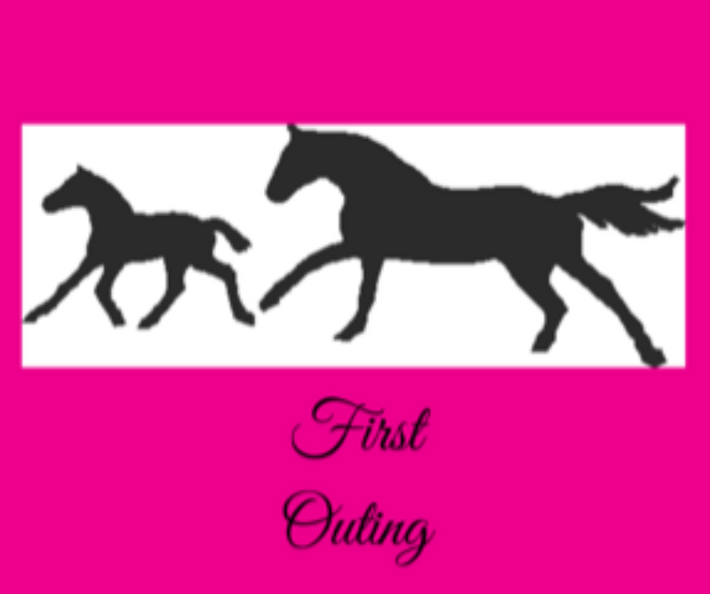 First Outing Equine Cottage Weathervane