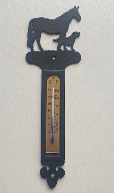 Dreams Thermometer