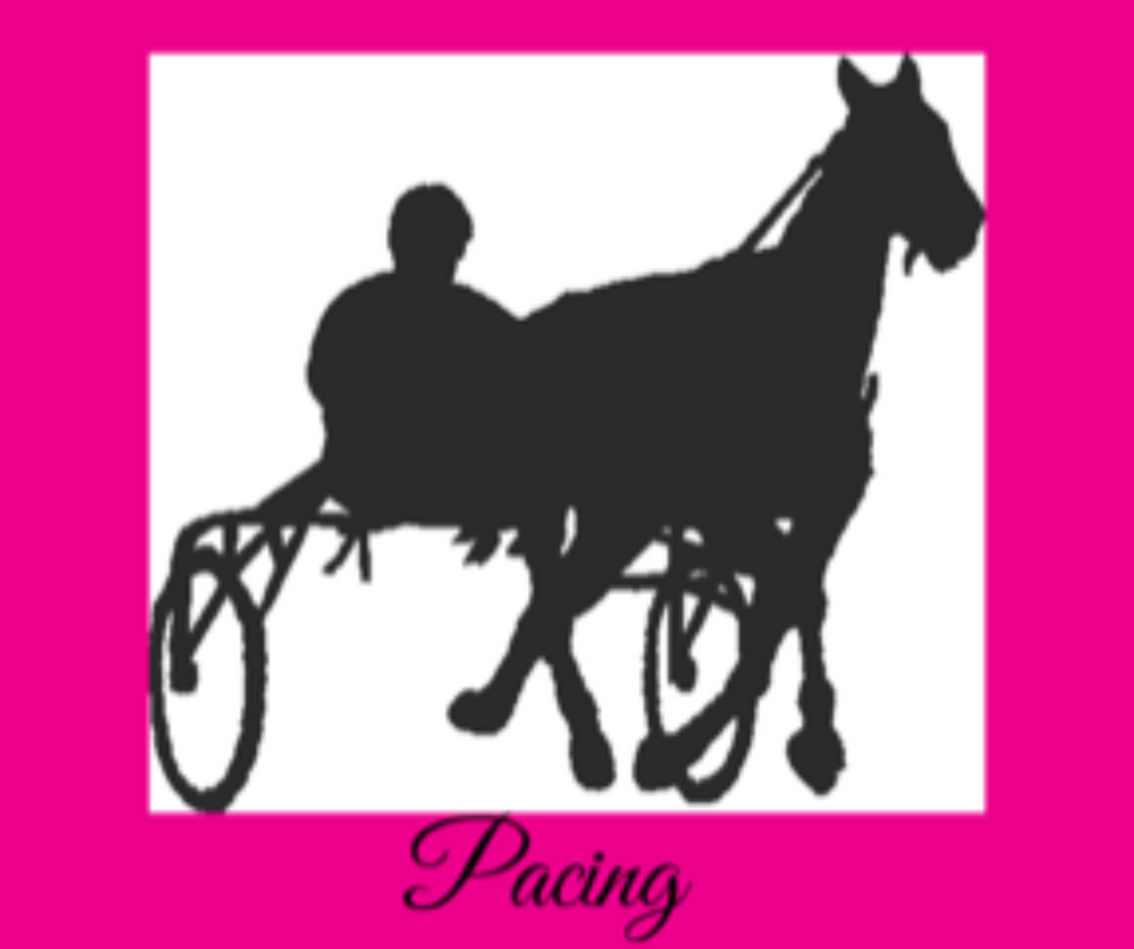 Pacing Equine Cottage Weathervane
