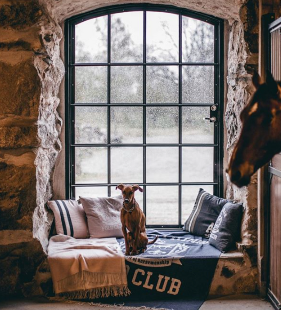 Polo Club Cashmere Blend Throw