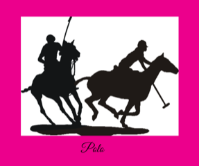 Polo Ponies Equine Cottage Weathervane