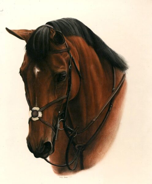 Horse Portrait Cards