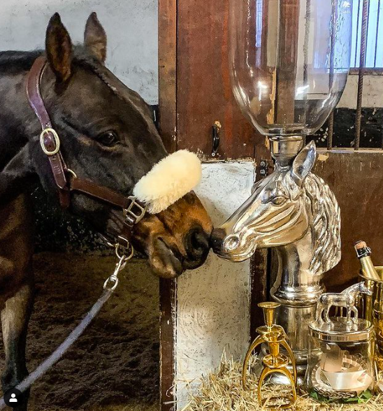 Horse Candleholder with Glass