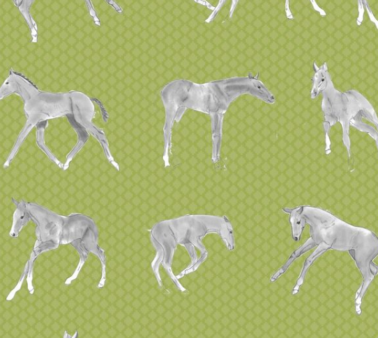 Foals Fabric & Wallpaper