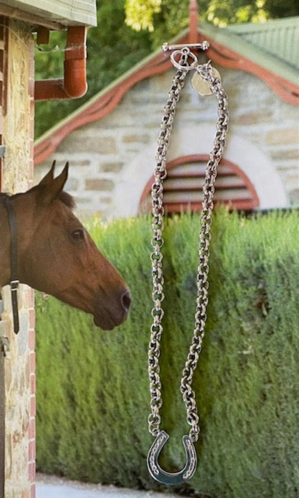 Silver  Horse Shoe Necklace