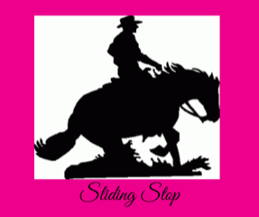 Sliding Stop Equine Cottage Weathervane