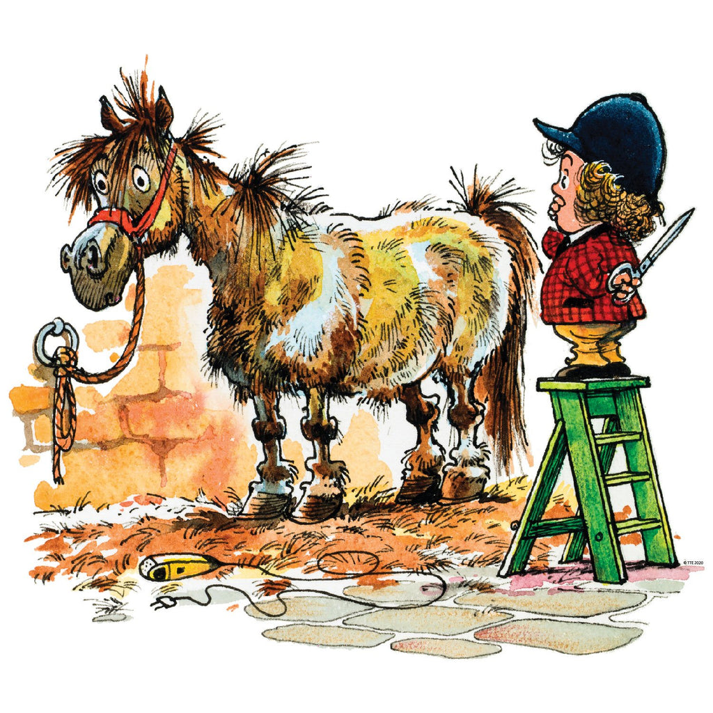 Thelwell Decal -Pony Grooming 3