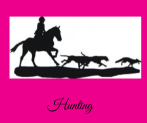 Tally Ho Equine Cottage Weathervane