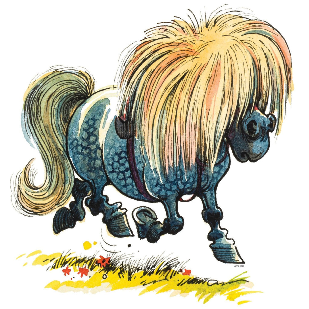 Thelwell Decal -Pony Grooming