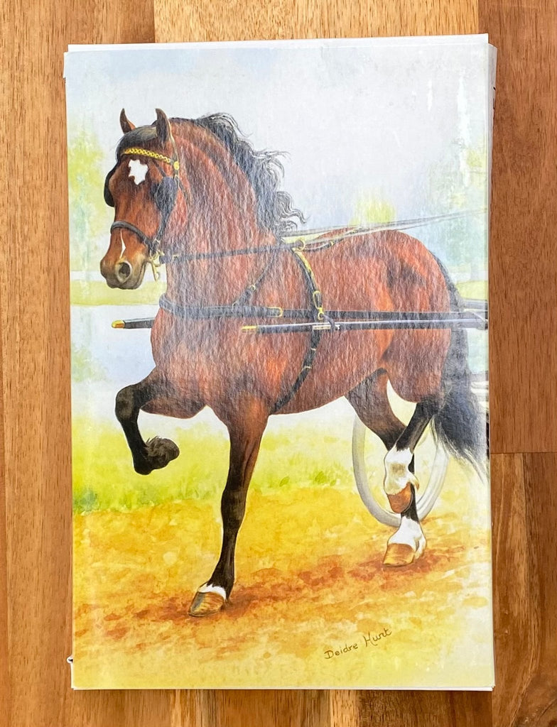 Welsh Harness Pony Tea Towel